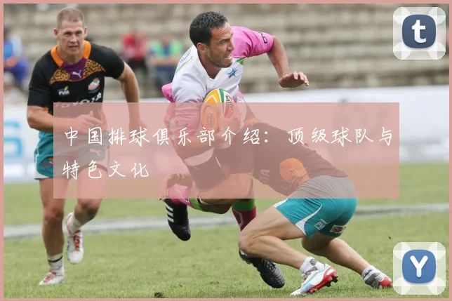 中国排球俱乐部介绍:顶级球队与特色文化