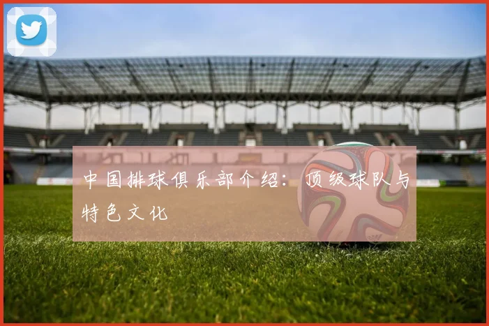 中国排球俱乐部介绍:顶级球队与特色文化